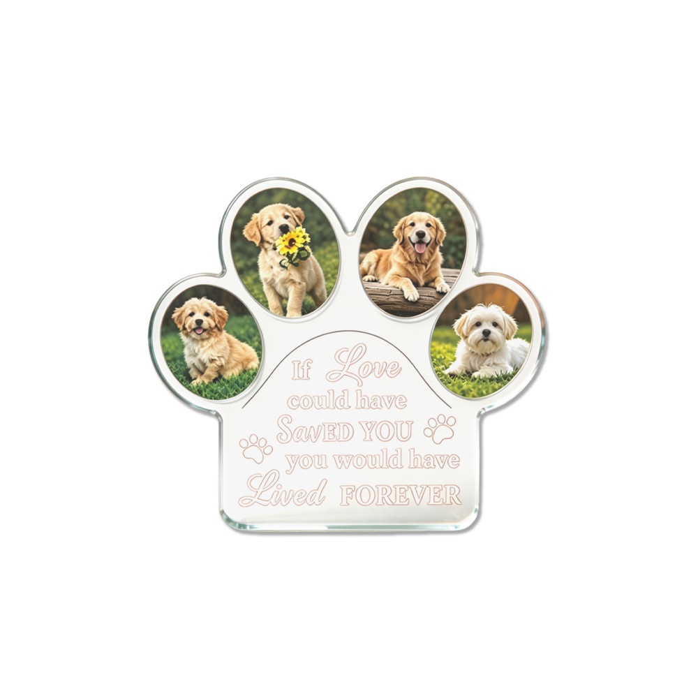 1個入り　DIYカスタム写真＆テキスト入り　肉球型アクリルブ - Photo Acrylic Block のレビューと価格